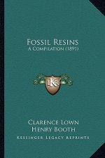 Fossil Resins: A Compilation (1891)