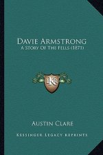 Davie Armstrong: A Story Of The Fells (1871)