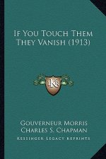 If You Touch Them They Vanish (1913)