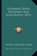 Humming Birds Described And Illustrated (1872)