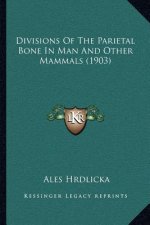 Divisions Of The Parietal Bone In Man And Other Mammals (1903)