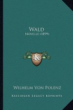 Wald: Novelle (1899)
