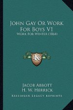 John Gay Or Work For Boys V1: Work For Winter (1864)