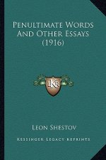 Penultimate Words And Other Essays (1916)