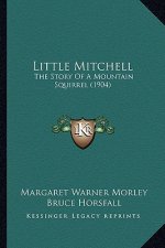 Little Mitchell: The Story Of A Mountain Squirrel (1904)