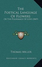 The Poetical Language Of Flowers: Or The Pilgrimage Of Love (1847)