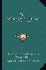 The Wane Of An Ideal: A Novel (1884)