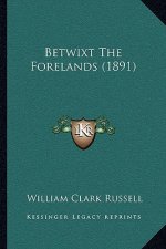 Betwixt The Forelands (1891)