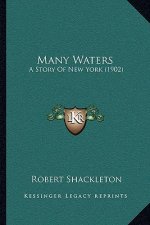 Many Waters: A Story Of New York (1902)