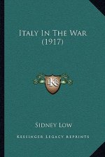 Italy In The War (1917)