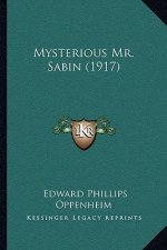 Mysterious Mr. Sabin (1917)