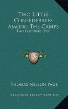 Two Little Confederates Among The Camps: Two Prisoners (1906)