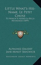 Little What's-His-Name, Le Petit Chose: To Which Is Added La Belle-Nivernaise (1899)