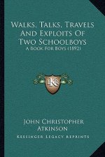 Walks, Talks, Travels And Exploits Of Two Schoolboys: A Book For Boys (1892)