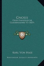 Gnosis: Oder Evangelische Glaubenslehre V3 (1829)