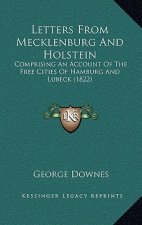 Letters From Mecklenburg And Holstein: Comprising An Account Of The Free Cities Of Hamburg And Lubeck (1822)