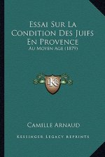 Essai Sur La Condition Des Juifs En Provence: Au Moyen Age (1879)