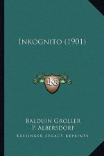 Inkognito (1901)