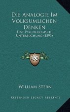 Die Analogie Im Volksumlichen Denken: Eine Psychologische Untersuchung (1893)