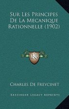 Sur Les Principes De La Mecanique Rationnelle (1902)