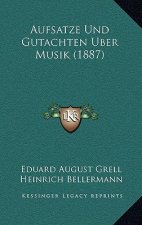 Aufsatze Und Gutachten Uber Musik (1887)