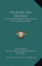 Histoire Des Druides: Et Particulierement De Ceux De La Caledonie (1845)