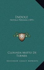 Indole: Novela Peruana (1891)