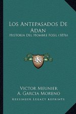 Los Antepasados De Adan: Historia Del Hombre Fosil (1876)