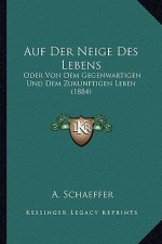 Auf Der Neige Des Lebens: Oder Von Dem Gegenwartigen Und Dem Zukunftigen Leben (1884)