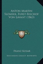 Anton Martin Slomsek, Furst-Bischof Von Lavant (1863)