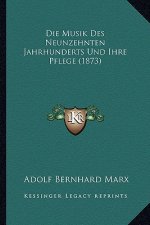 Die Musik Des Neunzehnten Jahrhunderts Und Ihre Pflege (1873)