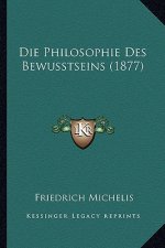 Die Philosophie Des Bewusstseins (1877)