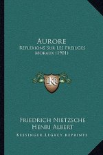 Aurore: Reflexions Sur Les Prejuges Moraux (1901)