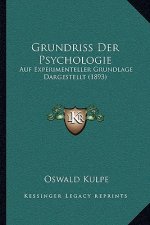 Grundriss Der Psychologie: Auf Experimenteller Grundlage Dargestellt (1893)