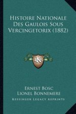 Histoire Nationale Des Gaulois Sous Vercingetorix (1882)