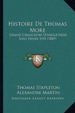 Histoire De Thomas More: Grand Chancelier D'Angleterre Sous Henri VIII (1849)