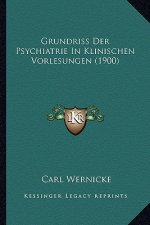 Grundriss Der Psychiatrie In Klinischen Vorlesungen (1900)