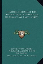 Histoire Naturelle Des Lepidopteres Ou Papillons De France V4, Part 1 (1827)