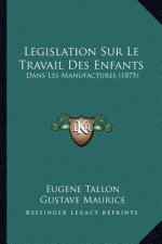 Legislation Sur Le Travail Des Enfants: Dans Les Manufactures (1875)