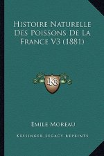 Histoire Naturelle Des Poissons De La France V3 (1881)