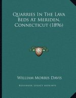 Quarries In The Lava Beds At Meriden, Connecticut (1896)