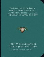 On New Species Of Fossil Sponges From The Siluro-Cambrian At Little Metis On The Lower St. Lawrence (1889)
