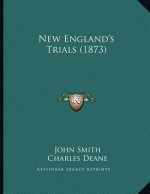 New England's Trials (1873)