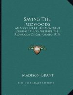 Saving The Redwoods: An Account Of The Movement During 1919 To Preserve The Redwoods Of California (1919)