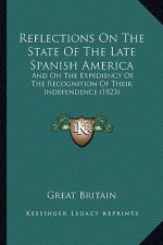 Reflections On The State Of The Late Spanish America: And On The Expediency Of The Recognition Of Their Independence (1823)