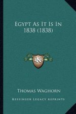 Egypt As It Is In 1838 (1838)