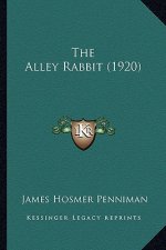 The Alley Rabbit (1920)