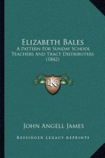 Elizabeth Bales: A Pattern For Sunday School Teachers And Tract Distributers (1842)