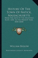 History Of The Town Of Natick, Massachusetts: From The Date Of The Apostolic Eliot, 1650, To The Present Time, 1830 (1830)