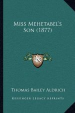 Miss Mehetabel's Son (1877)